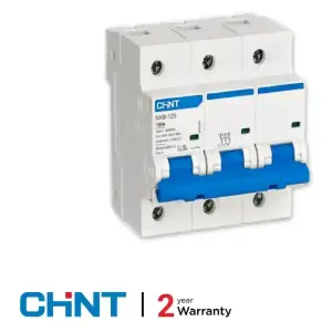 Chint NXB-100 Amp MCB DP