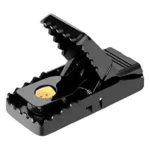 Mouse Trap