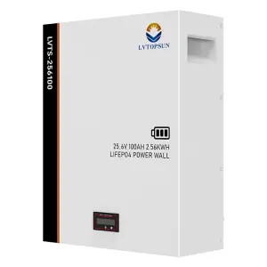 LVTOPSUN 25.6V 100Ah 2.56kWh Lithium Iron Phosphate Battery