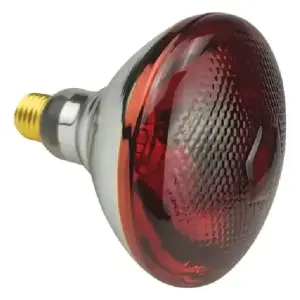 Infrared Heat Lamp Bulb 250W (RED) 8 PCS