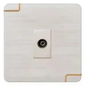 TV Socket (Walton Gang Switch)