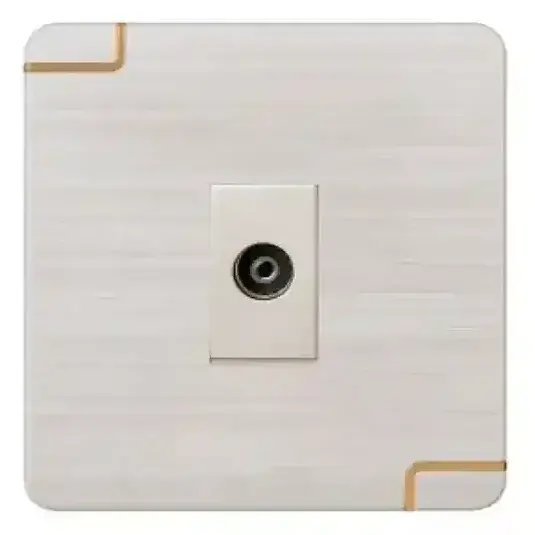 TV Socket (Walton Gang Switch)