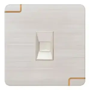 Data Socket (Walton Gang Switch)