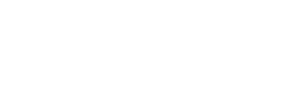 Bluwebz::Fusing IT & Business